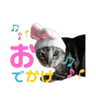 くるぶし先輩withにゃんず（個別スタンプ：18）