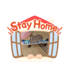 うさちゃんの毎日スタンプ①（個別スタンプ：2）