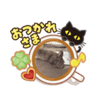 うさちゃんの毎日スタンプ①（個別スタンプ：3）
