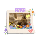 うさちゃんの毎日スタンプ①（個別スタンプ：5）