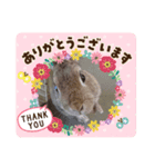 うさちゃんの毎日スタンプ①（個別スタンプ：6）
