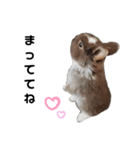Cocoa_Family（個別スタンプ：14）