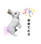 Cocoa_Family（個別スタンプ：22）