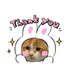 ふて猫ちくわ（個別スタンプ：1）