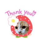 ふて猫ちくわ（個別スタンプ：3）