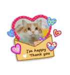 ふて猫ちくわ（個別スタンプ：5）