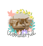 ふて猫ちくわ（個別スタンプ：6）