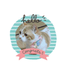 ふて猫ちくわ（個別スタンプ：7）