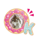 ふて猫ちくわ（個別スタンプ：8）
