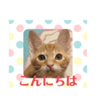 ミーちゃマンのスタンプ2（個別スタンプ：1）
