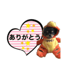 ゆうゆのチワワとダックス2（個別スタンプ：5）