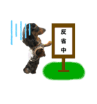 ゆうゆのチワワとダックス2（個別スタンプ：24）