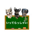 ゆうゆのチワワとダックス2（個別スタンプ：26）