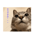 ビビレオスタンプ（個別スタンプ：1）