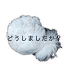 うみとろstamp（個別スタンプ：19）
