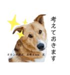 うみとろstamp（個別スタンプ：24）