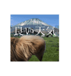 いなり様のお言葉（個別スタンプ：1）