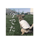 いなり様のお言葉（個別スタンプ：4）