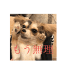 いなり様のお言葉（個別スタンプ：8）