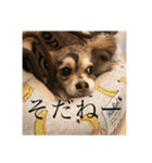いなり様のお言葉（個別スタンプ：9）
