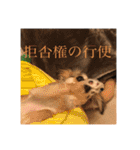 いなり様のお言葉（個別スタンプ：11）