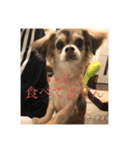 いなり様のお言葉（個別スタンプ：13）