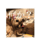 いなり様のお言葉（個別スタンプ：14）