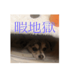 いなり様のお言葉（個別スタンプ：18）