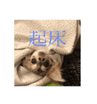 いなり様のお言葉（個別スタンプ：19）