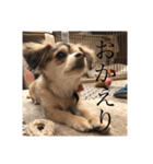 いなり様のお言葉（個別スタンプ：20）