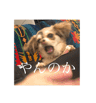 いなり様のお言葉（個別スタンプ：21）