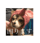 いなり様のお言葉（個別スタンプ：23）
