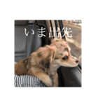 いなり様のお言葉（個別スタンプ：24）