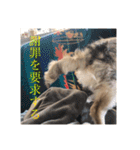 いなり様のお言葉（個別スタンプ：26）