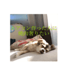 いなり様のお言葉（個別スタンプ：28）
