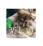 いなり様のお言葉（個別スタンプ：30）
