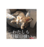 いなり様のお言葉（個別スタンプ：31）