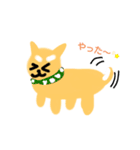 犬犬君（個別スタンプ：2）