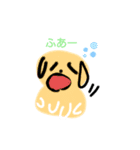 犬犬君（個別スタンプ：13）