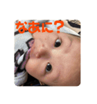陽一 2（個別スタンプ：1）