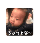 陽一 2（個別スタンプ：24）