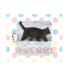 RINRIN③（個別スタンプ：7）