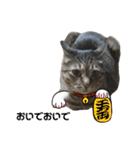 RINRIN③（個別スタンプ：8）