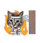 RINRIN③（個別スタンプ：20）