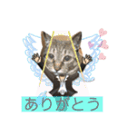 RINRIN③（個別スタンプ：21）