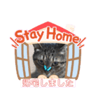 RINRIN③（個別スタンプ：32）
