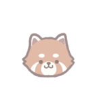 あらいぐまのポンタ（個別スタンプ：1）