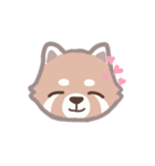 あらいぐまのポンタ（個別スタンプ：6）