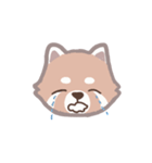 あらいぐまのポンタ（個別スタンプ：7）