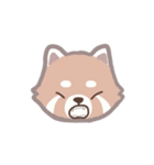 あらいぐまのポンタ（個別スタンプ：8）